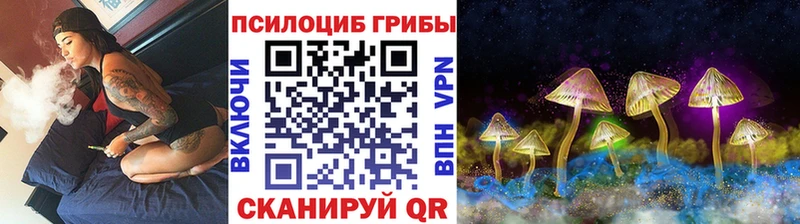 kraken   Краснокаменск  Псилоцибиновые грибы Magic Shrooms 