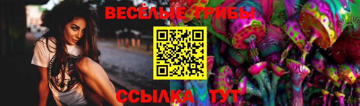 Галлюциногенные грибы Psilocybe  Вход с VPN  Краснокаменск 